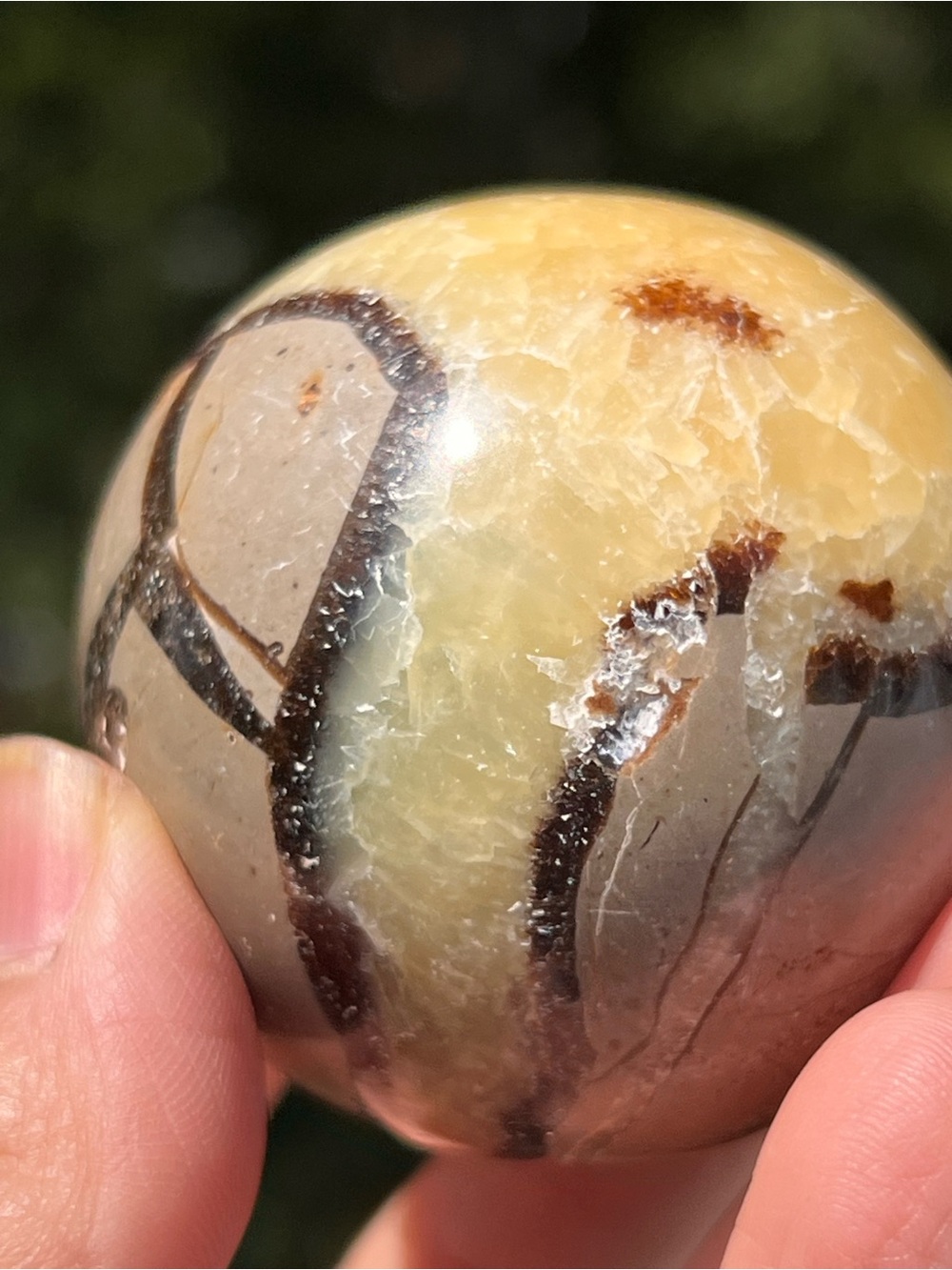 Septarian (4) sphere | crystal ~ uv reactive